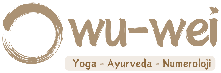 wu-wei-logo